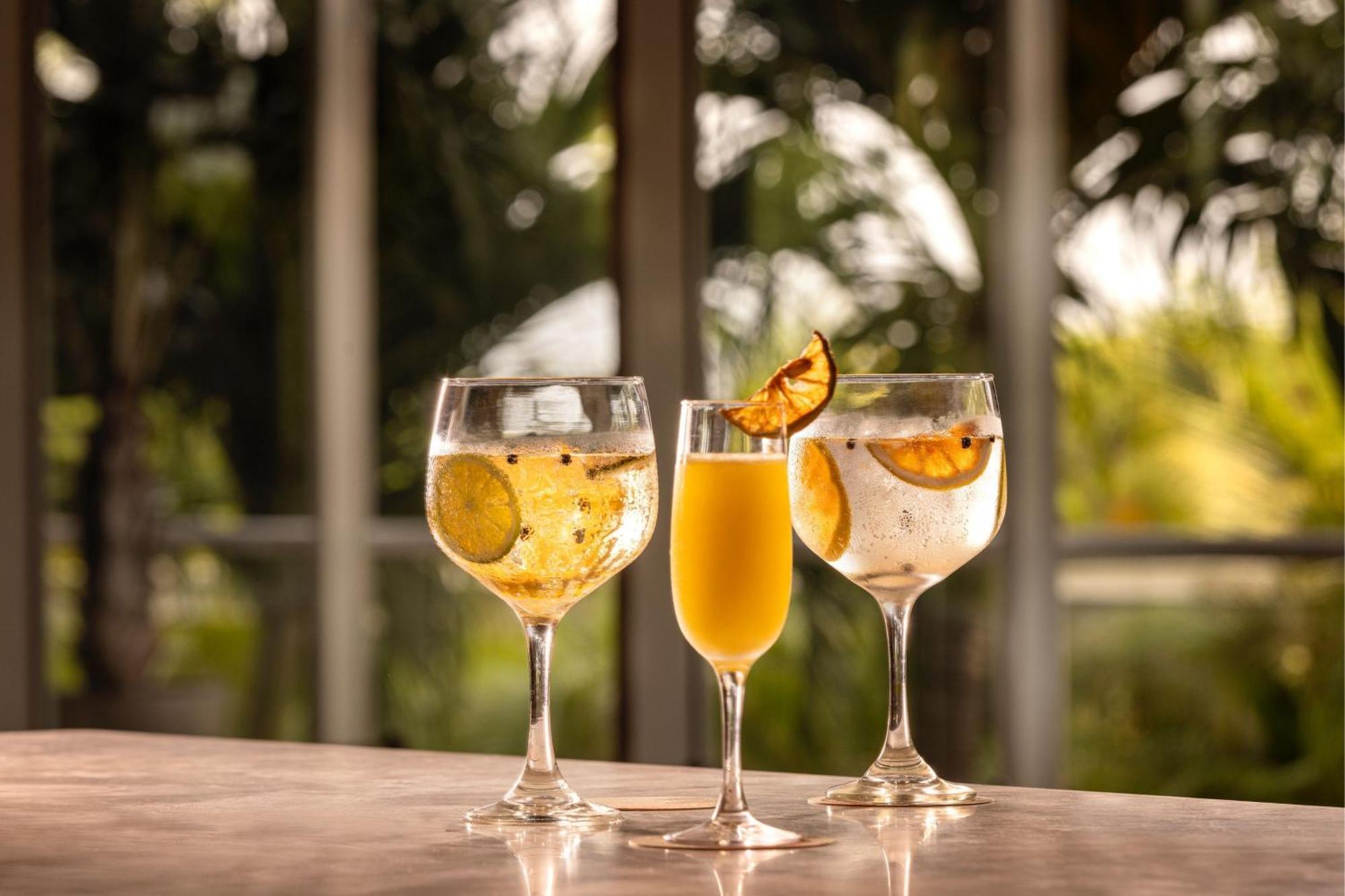 Santa Marta Marriott Resort Playa Dormida Exterior foto Glasses of ginger beer